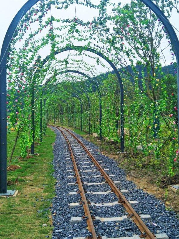 沪江开心词场