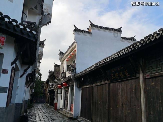 动物帮帮忙保卫家园